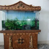 آکواریوم