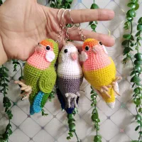 طوطی کوتوله بافتنی|کلکسیون و سرگرمی|نیشابور, هفده شهریور|دیوار