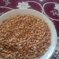 بذر آبی