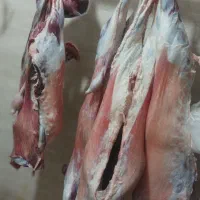 قصابیگوسفندی650|خوردنی و آشامیدنی|مریوان, |دیوار