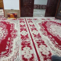 قالی12متری