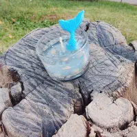 شمع دریایی