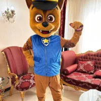 کرایه صندلی تاشو و تن پوش عروسکی و برگزاری مجالس|خدمات پذیرایی، مراسم|مشهد, کوثر|دیوار