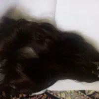 موی طبیعی
