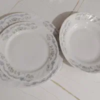 ظروف چینی