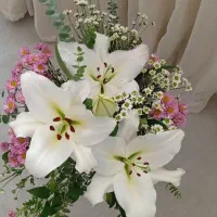 ۴تا گل لیلیوم طبیعی یکیش غنچست