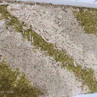 روغن کنجد، حلوا ارده، ارده،|خوردنی و آشامیدنی|تهران, دریان‌نو|دیوار