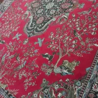 ی وریس وی قالی