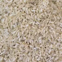 فروش 32 کیلو برنج چمپا امسال