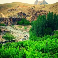 کار باغی انجام میدم  پاکند علف زنی وغیره