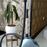 اتو بخار ایستاده جانومه