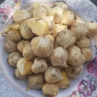 موسیر کوهی