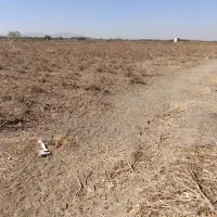 اجاره زمین کشاورزی|اجارهٔ دفتر صنعتی، کشاورزی، تجاری|میاندوآب, |دیوار