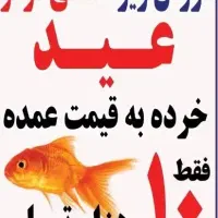 ماهی قرمز عید