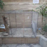 قفس بزرک مناسب پرنده و مرغ خروس