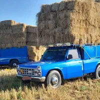 باربری|خدمات حمل و نقل|ماکلوان, |دیوار