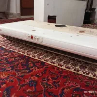 هود سالم|هود|مراغه, |دیوار
