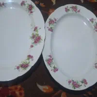 دوتا دیس گل سرخی ژاپنی