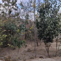 خانه ویلایی در روستای اندزق معروف به پیرعلی|فروش خانه و ویلا|مشگین شهر, |دیوار