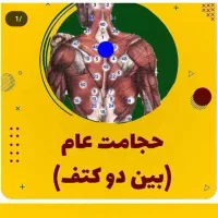 انجام و آموزش حجامت بانوان و آقایان