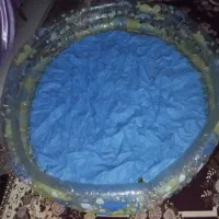 استخر بادی با طرحی جذاب و کم پیدا