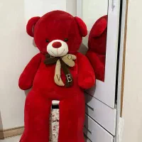 خرس قرمز جنس ترک