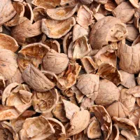 پوست چوبی گردو