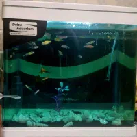 اکواریوم شرکتی دلسا مدل k320