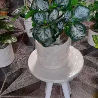 گل ب مناسبت روز مادر|گل مصنوعی|قم, نیروگاه|دیوار