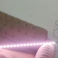 اکواریم شرکتی|ماهی|قم, امامزاده ابراهیم|دیوار