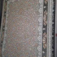 فرش نو|فرش|الشتر, |دیوار