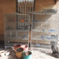 قفس اردشیری طرح کارا|لوازم جانبی حیوانات|شیراز, دشت چنار|دیوار