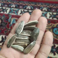 تخمه خوراکی  د امی مغز پر واری