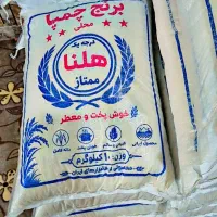 برنج چمپا محلی ممتاز