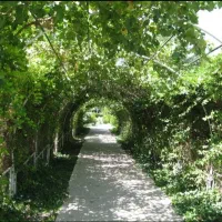 استخدام برای نگهبانی و باغبانی درباغ کاردائم