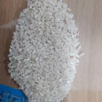 نیم دانه هاشمی درجه یک|خوردنی و آشامیدنی|شلمان, |دیوار