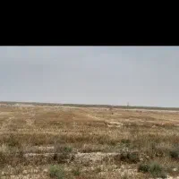 فروش-زمین-تجاری-شادگان