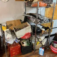 استند استیل حراجی