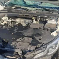 فیدلیتی ۷نفره پرستیژ|خودرو سواری و وانت|تهران, پونک|دیوار