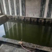 ایزوگام کاری کاشی کاری بدنه و سرامیک سنگ کاری|خدمات پیشه و مهارت|مشهد, کلاهدوز|دیوار