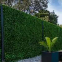 هرس شمشادوغیره