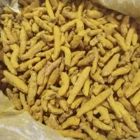 پخش عمده زردچوبه و فلفل سیاه قلم درشت وپودری وغیره|خوردنی و آشامیدنی|تهران, تهرانسر شرقی|دیوار