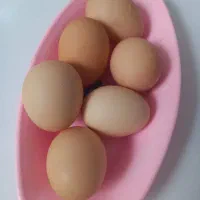 تخم مرغ محلی تازه