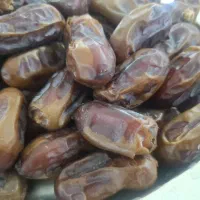 خرمای سایر ، استعمران شادگان