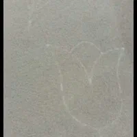 موکت ۹ متری