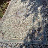 فرش ماشینی ۳در۴|فرش|قائمشهر, |دیوار