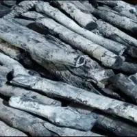 زغال قلم سفید پسته