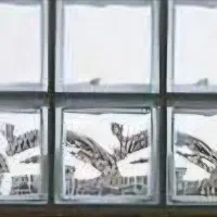 فروش بلوک شیشه ای سفید فریدونکنار