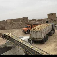 اجر درجه یک با باسکول دقیقه