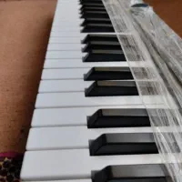 میدی کنترلر السیس ۴ اکتاو|پیانو، کیبورد، آکاردئون|تربت جام, میان جام|دیوار